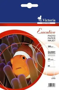 Fotopapier "Executive", für Tintenstrahldrucker, Hochglanz, 10x15cm, 260g, VICT 20 Blatt